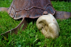 morla_gesicht